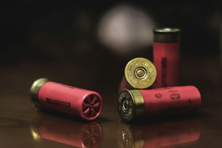 Commonsense Gun Safety Bills Pass the House